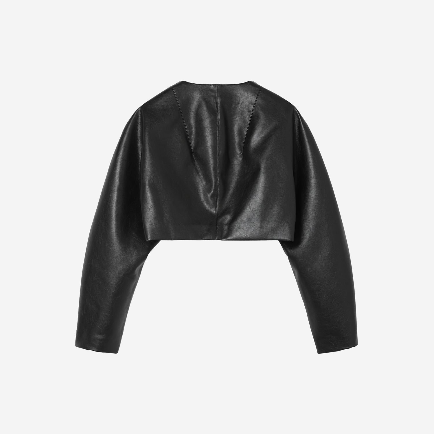 Curve Sleeve Blouson / black