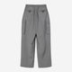 Wide Cargo Pants / gray stripe