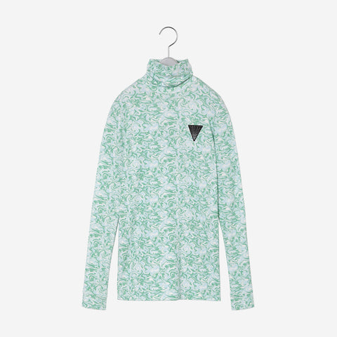 Classic Turtle / marble