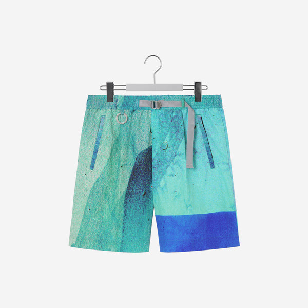 DY Sports Shorts / color